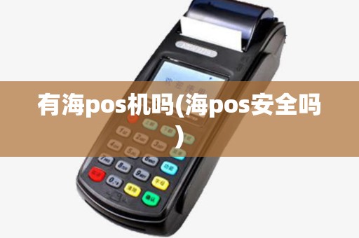 有海pos机吗(海pos安全吗)
