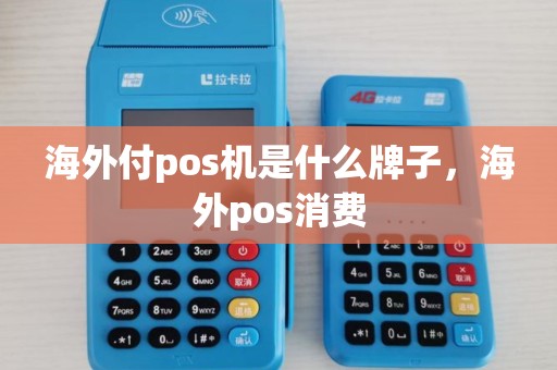 海外付pos机是什么牌子,海外pos消费 海外付pos机是什么牌子,海外pos消费