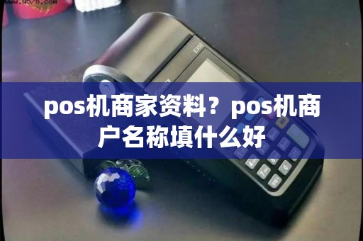 pos机商家资料？pos机商户名称填什么好