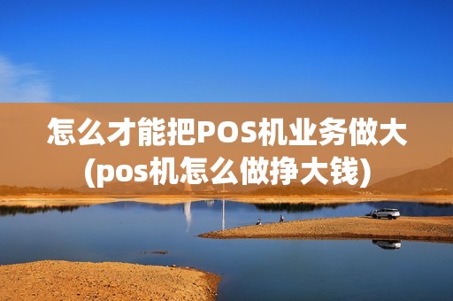 怎么才能把POS机业务做大(pos机怎么做挣大钱) 怎么才能把POS机业务做大(pos机怎么做挣大钱)