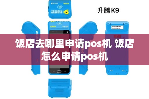 饭店去哪里申请pos机 饭店怎么申请pos机 饭店去哪里申请pos机 饭店怎么申请pos机