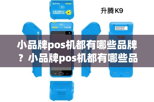 小品牌pos机都有哪些品牌?小品牌pos机都有哪些品牌名称 小品牌pos机都有哪些品牌?小品牌pos机都有哪些品牌名称