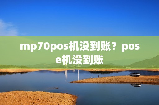 mp70pos机没到账？pose机没到账