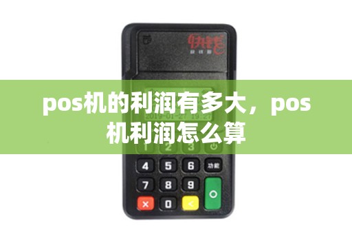 pos机的利润有多大,pos机利润怎么算 pos机的利润有多大,pos机利润怎么算