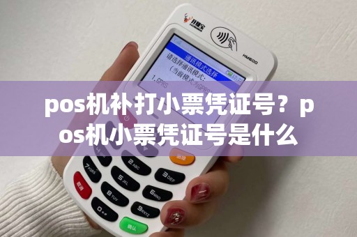 pos机补打小票凭证号?pos机小票凭证号是什么 pos机补打小票凭证号?pos机小票凭证号是什么