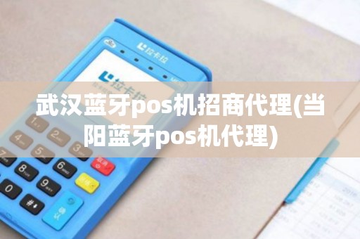 武汉蓝牙pos机招商代理(当阳蓝牙pos机代理) 武汉蓝牙pos机招商代理(当阳蓝牙pos机代理)