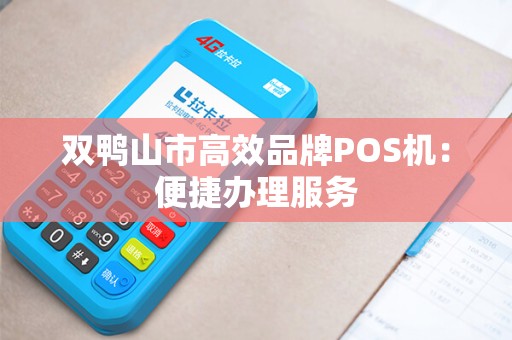 双鸭山市高效品牌POS机:便捷办理服务 双鸭山市高效品牌POS机:便捷办理服务