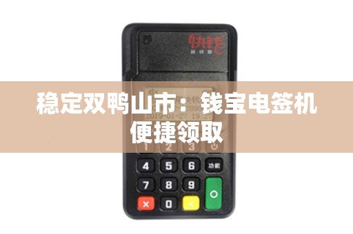 稳定双鸭山市:钱宝电签机便捷领取 稳定双鸭山市:钱宝电签机便捷领取