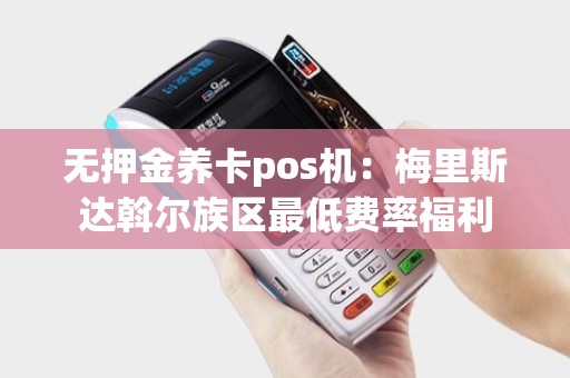 无押金养卡pos机:梅里斯达斡尔族区最低费率福利 无押金养卡pos机:梅里斯达斡尔族区最低费率福利