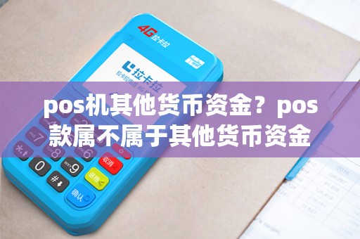pos机其他货币资金?pos款属不属于其他货币资金 pos机其他货币资金?pos款属不属于其他货币资金