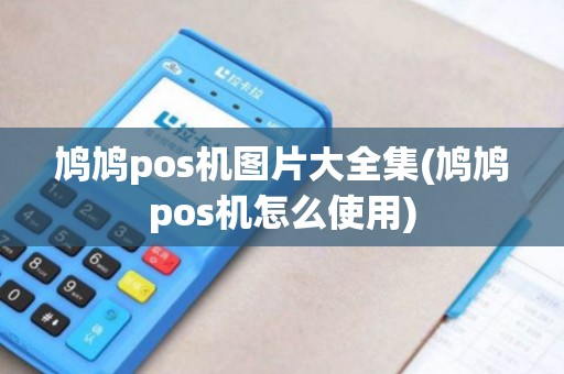 鸠鸠pos机图片大全集(鸠鸠pos机怎么使用) 鸠鸠pos机图片大全集(鸠鸠pos机怎么使用)