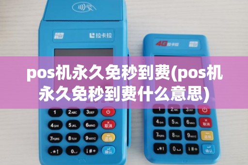 pos机永久免秒到费(pos机永久免秒到费什么意思) pos机永久免秒到费(pos机永久免秒到费什么意思)