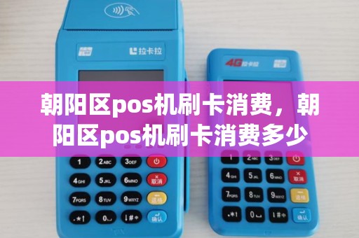朝阳区pos机刷卡消费,朝阳区pos机刷卡消费多少 朝阳区pos机刷卡消费,朝阳区pos机刷卡消费多少