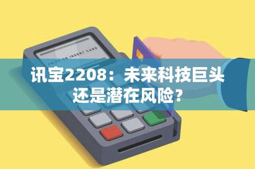 讯宝2208：未来科技巨头还是潜在风险？