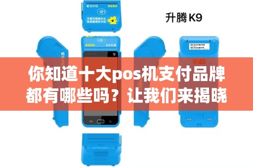你知道十大pos机支付品牌都有哪些吗?让我们来揭晓! 你知道十大pos机支付品牌都有哪些吗?让我们来揭晓!