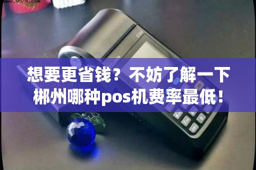 想要更省钱?不妨了解一下郴州哪种pos机费率最低! 想要更省钱?不妨了解一下郴州哪种pos机费率最低!