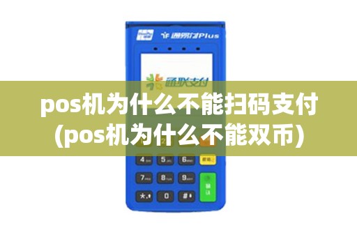 pos机为什么不能扫码支付(pos机为什么不能双币)