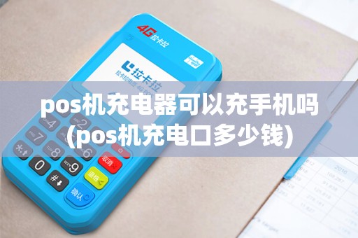 pos机充电器可以充手机吗(pos机充电口多少钱) pos机充电器可以充手机吗(pos机充电口多少钱)
