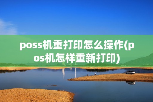 poss机重打印怎么操作(pos机怎样重新打印)