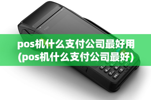 pos机什么支付公司最好用(pos机什么支付公司最好)