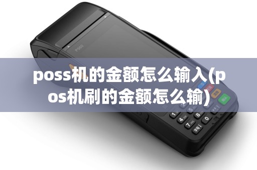 poss机的金额怎么输入(pos机刷的金额怎么输)