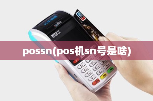 possn(pos机sn号是啥)