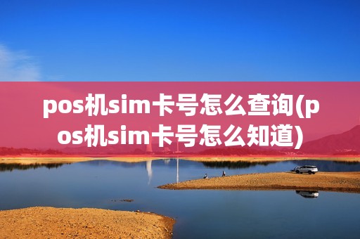 pos机sim卡号怎么查询(pos机sim卡号怎么知道) pos机sim卡号怎么查询(pos机sim卡号怎么知道)