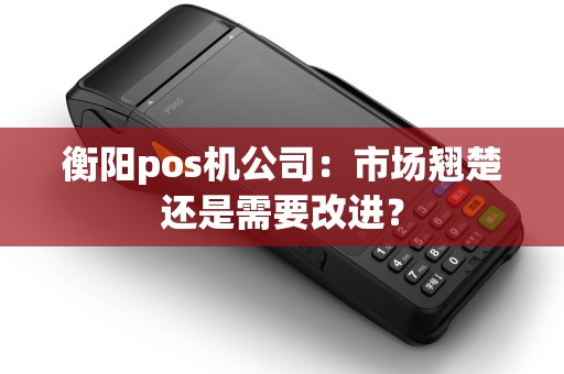 衡阳pos机公司:市场翘楚还是需要改进? 衡阳pos机公司:市场翘楚还是需要改进?
