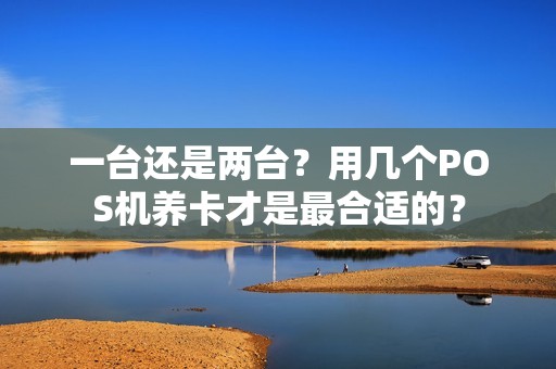 一台还是两台?用几个POS机养卡才是最合适的? 一台还是两台?用几个POS机养卡才是最合适的?