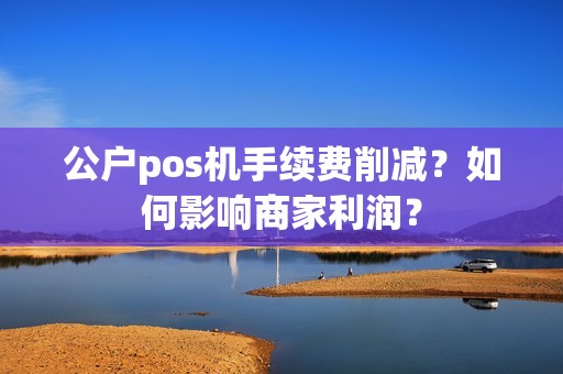 公户pos机手续费削减?如何影响商家利润? 公户pos机手续费削减?如何影响商家利润?