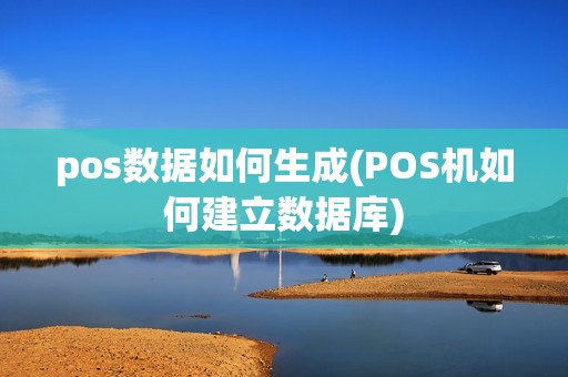 pos数据如何生成(POS机如何建立数据库)