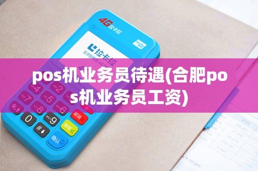 pos机业务员待遇(合肥pos机业务员工资) pos机业务员待遇(合肥pos机业务员工资)