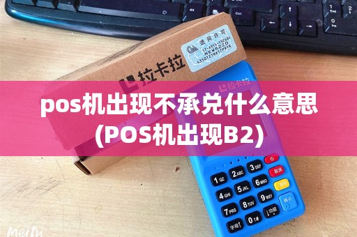 pos机出现不承兑什么意思(POS机出现B2) pos机出现不承兑什么意思(POS机出现B2)
