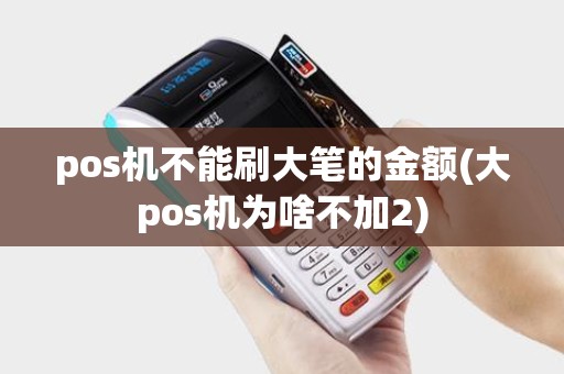 pos机不能刷大笔的金额(大pos机为啥不加2) pos机不能刷大笔的金额(大pos机为啥不加2)