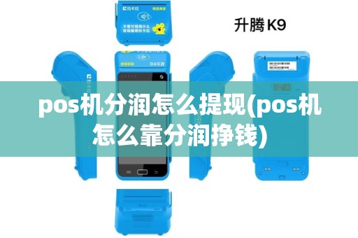 pos机分润怎么提现(pos机怎么靠分润挣钱) pos机分润怎么提现(pos机怎么靠分润挣钱)