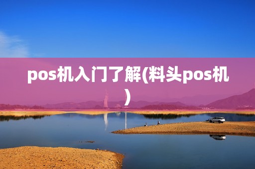 pos机入门了解(料头pos机) pos机入门了解(料头pos机)