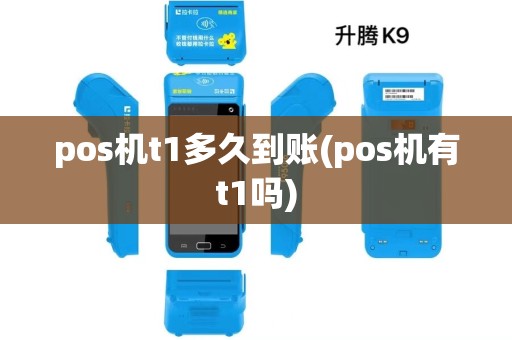 pos机t1多久到账(pos机有t1吗)