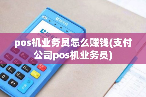 pos机业务员怎么赚钱(支付公司pos机业务员) pos机业务员怎么赚钱(支付公司pos机业务员)