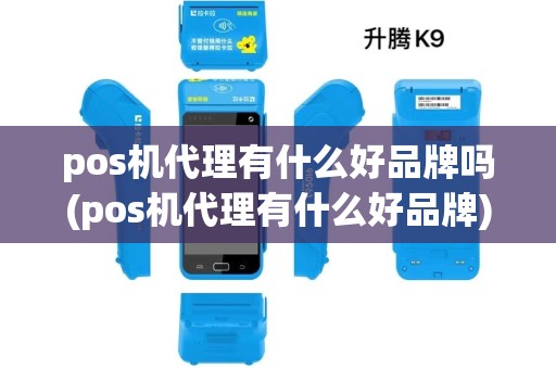 pos机代理有什么好品牌吗(pos机代理有什么好品牌) pos机代理有什么好品牌吗(pos机代理有什么好品牌)