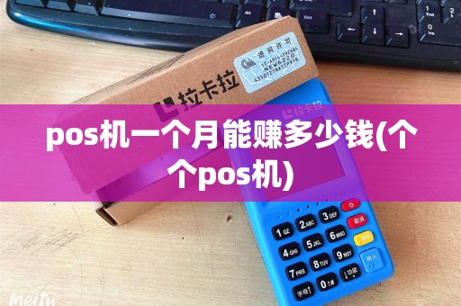 pos机一个月能赚多少钱(个个pos机)