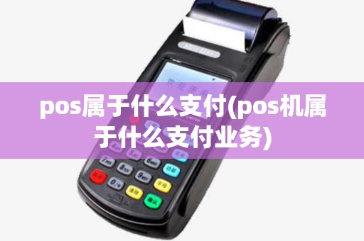 pos属于什么支付(pos机属于什么支付业务)