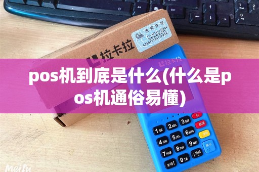 pos机到底是什么(什么是pos机通俗易懂) pos机到底是什么(什么是pos机通俗易懂)