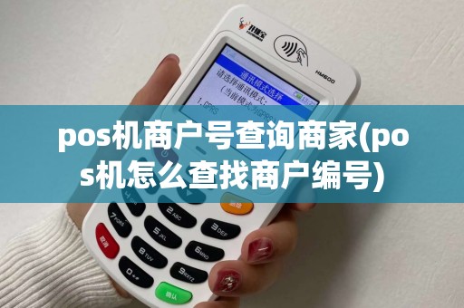 pos机商户号查询商家(pos机怎么查找商户编号)