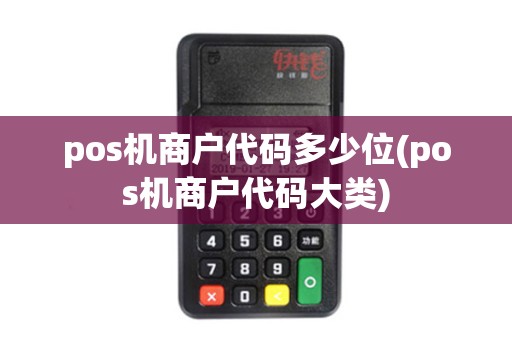 pos机商户代码多少位(pos机商户代码大类) pos机商户代码多少位(pos机商户代码大类)