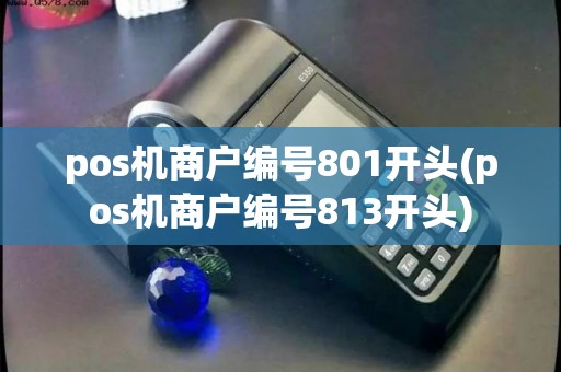 pos机商户编号801开头(pos机商户编号813开头) pos机商户编号801开头(pos机商户编号813开头)