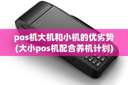 pos机大机和小机的优劣势(大小pos机配合养机计划) pos机大机和小机的优劣势(大小pos机配合养机计划)