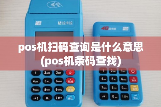 pos机扫码查询是什么意思(pos机条码查找) pos机扫码查询是什么意思(pos机条码查找)