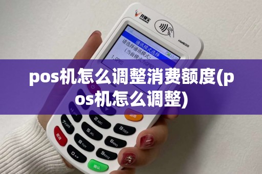 pos机怎么调整消费额度(pos机怎么调整) pos机怎么调整消费额度(pos机怎么调整)