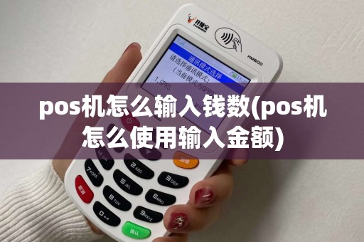 pos机怎么输入钱数(pos机怎么使用输入金额) pos机怎么输入钱数(pos机怎么使用输入金额)