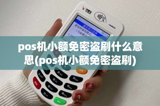 pos机小额免密盗刷什么意思(pos机小额免密盗刷)